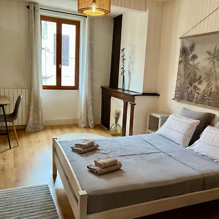 Rinaldi 57 Maison Typique Du Pont Vieux Albi