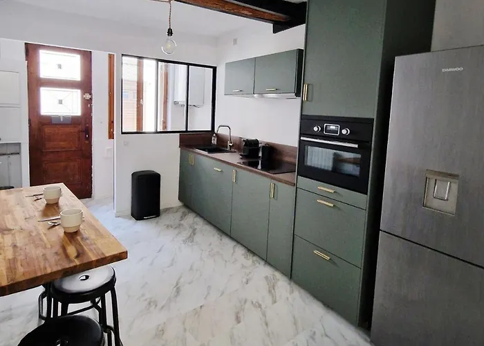 Rinaldi 57 Maison Typique Du Pont Vieux * Albi