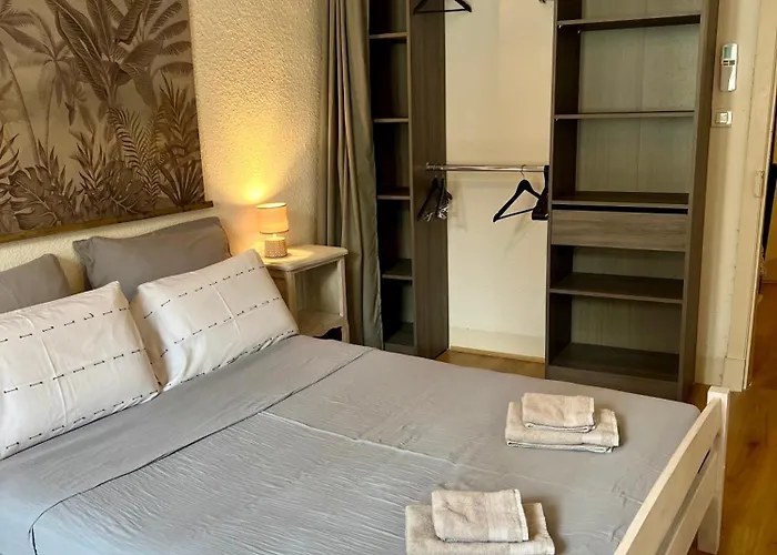 Rinaldi 57 Maison Typique Du Pont Vieux * Albi