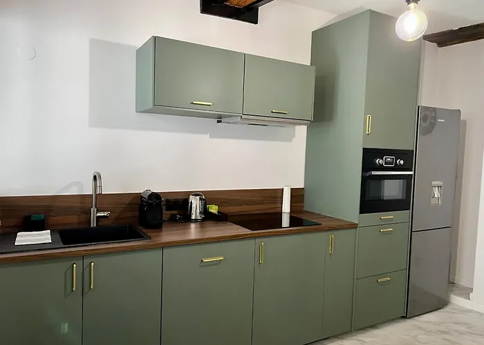 Dom wakacyjny Rinaldi 57 Maison Typique Du Pont Vieux Albi